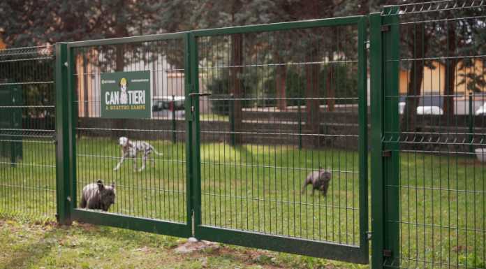 Nuova area cani a Mandello: nasce “un’isola felice per gli amici a quattro zampe” Mandello nuova area cani