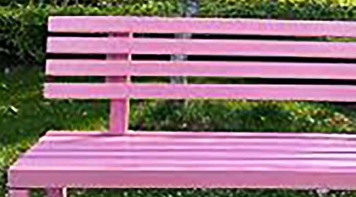 Prevenzione tumore al seno. Molteno inaugurerà una panchina rosa