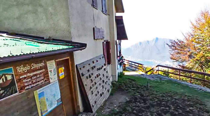 I cinghiali devastano i prati della Stoppani. L’appello dei rifugisti