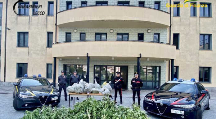 Coltivavano marijuana a Cremeno, oltre trenta chili sequestrati