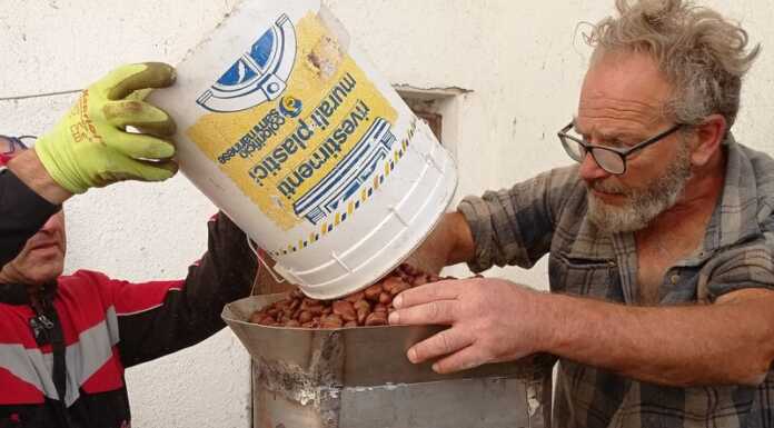 Un biscotto alle castagne per unire la Valvarrone: il progetto Val d’Aven Associazione Val d'Aven