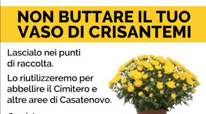 Casatenovo sposa l’iniziativa anti spreco “Non buttare i tuoi crisantemi”