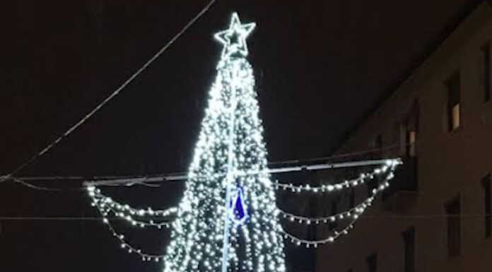 Cernusco, il 2 l’accensione dell’albero di Natale donato dagli alpini