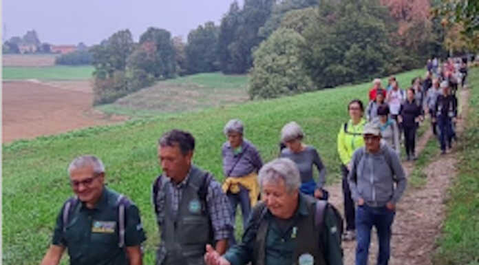 Con il Parco del Curone camminata tra i terrazzamenti del Monte di Brianza