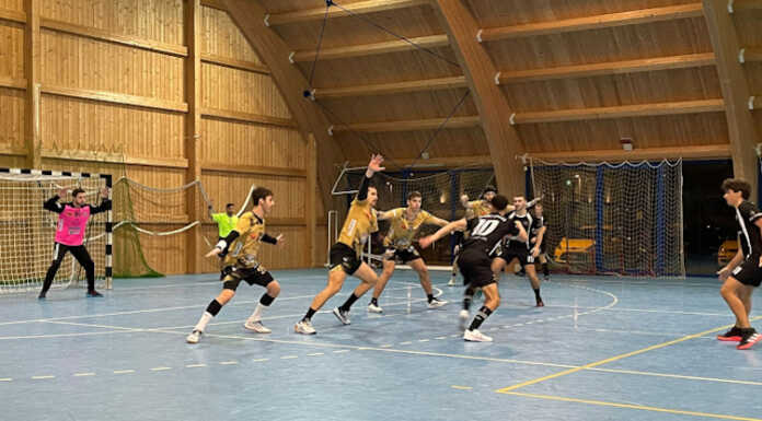 Pallamano. Successo per Molteno in terra veneta