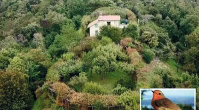 “Alla scoperta di Costa Perla”, nuova pubblicazione del Parco Monte Barro Roccolo Costa Perla Monte Barro