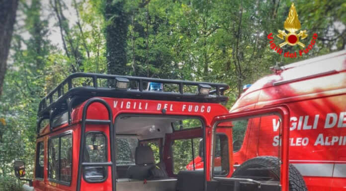 Cortenova. 64enne ferito da una pianta, intervento dei Vigili del Fuoco Vigili del Fuoco