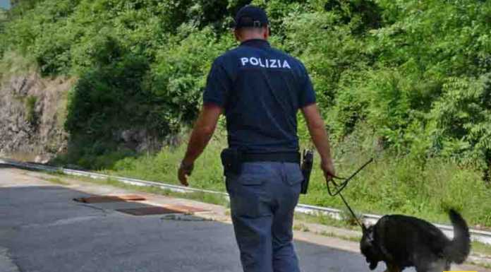 Scuole sicure: fondi per la prevenzione e il contrasto dello spaccio di droga