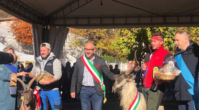 Capra Orobica: che successo a Casargo. Ecco ‘Re Becco’ e la sua regina