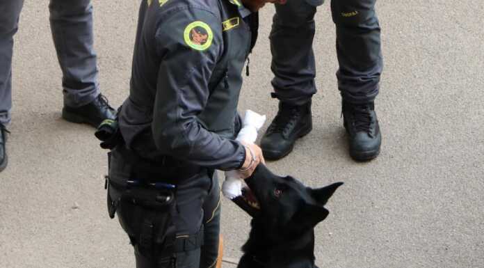 Controlli con i cani anti-droga alla Meridiana, denunciato un 21enne