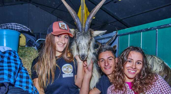 La Mostra della Capra Orobica: una carrellata di immagini