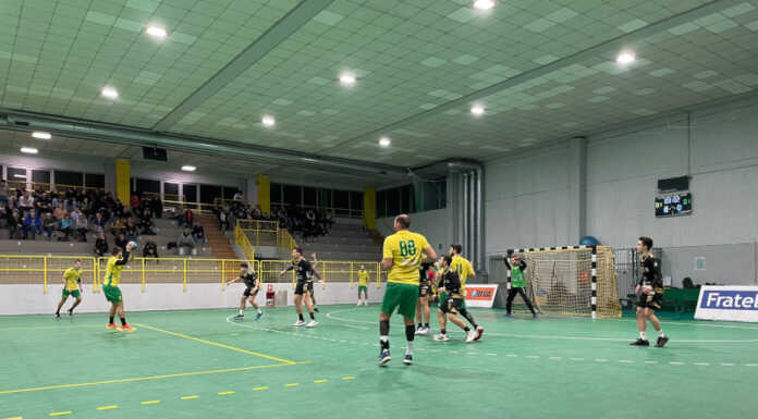 Prova di carattere per Pallamano Molteno: vittoria contro l’Arcom Pallavolo Molteno