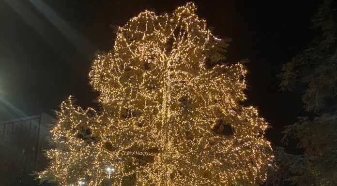 Lecco. In piazza Mazzini brillano le luci dell’albero di Natale di Ltm
