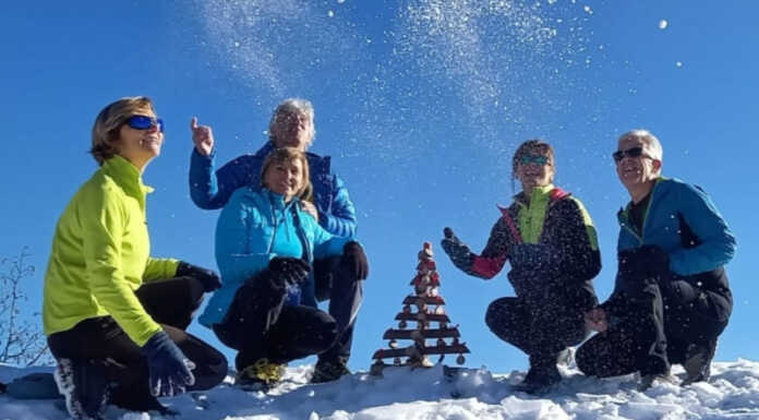 Sul Regismondo l’alberello dei Beck per augurare a tutti buone feste Albero di Natale al Regismondo