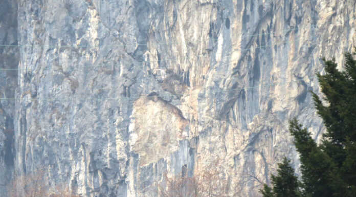 Dopo il distacco chiusa la “Falesia di Versasio” per consentire i sopralluoghi Falesia Versasio