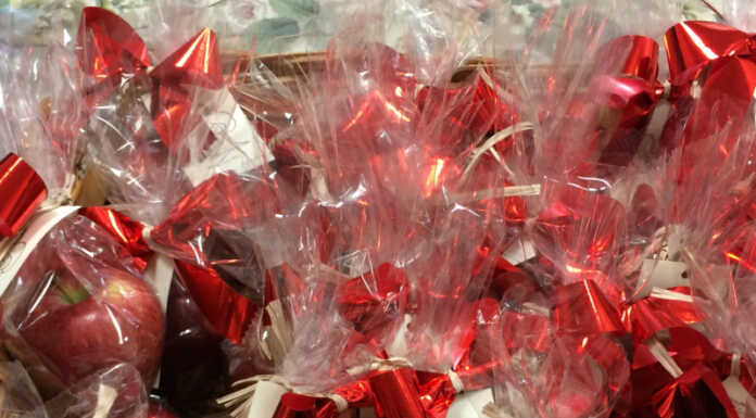 Lecco. Nelle scuole della città si rinnova la tradizione delle mele di San Nicolò Mele di San Nicolò Lecco