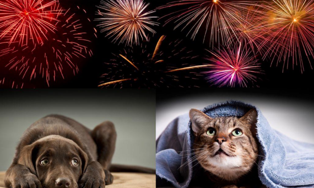 Merate, l’invito del Comune per un Capodanno senza botti