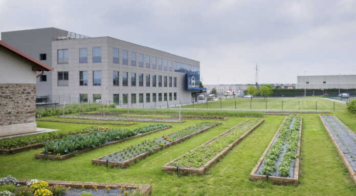 Cernusco. Progetto Technortus: successo nazionale per l’orto 4.0 Progetto Technortus