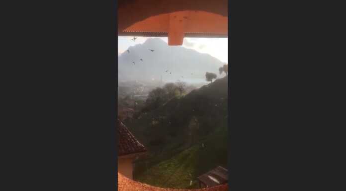 Stornelli in volo nei cieli di Lecco, uno spettacolo della natura
