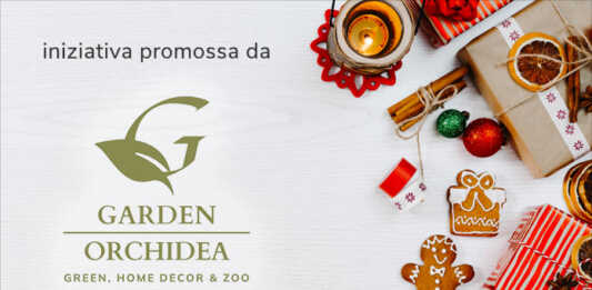 #ilmioalberodinatale 2022 inviaci la foto del tuo albero di NataleLIVE in Aggiornamento #ilmioalberodinatale 2022