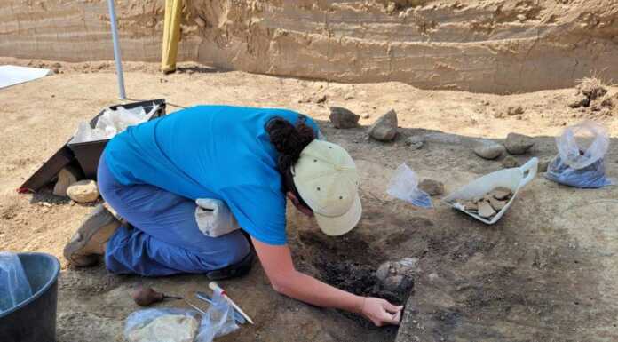 Casatenovo, gli scavi per la scuola fanno emergere antichi resti