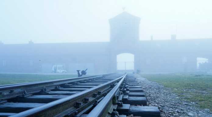 Oggi è la Giornata della Memoria, gli eventi: “Non dimentichiamo” Bertacchi_Lecco_Viaggio_Memoria-Ministro_Valditara_20230124