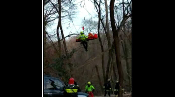 Besana. Colpito dall’albero che stava tagliando: 76enne in neuro rianimazione