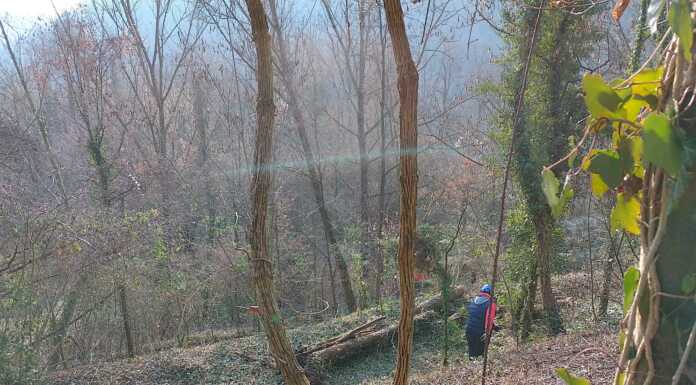 Il parco Adda Nord investe 44mila euro per la riqualificazione dei boschi Bosco Parco Adda Nord