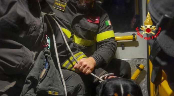 Ballabio. Cane incastrato in una cancellata, liberato dai pompieri