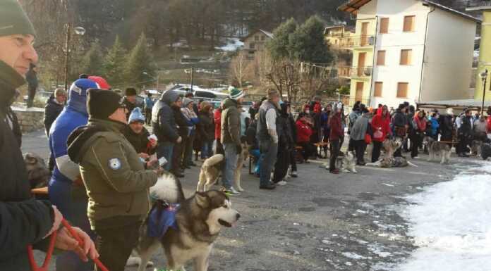 Casargo, grande ritorno degli Alaskan Malamute