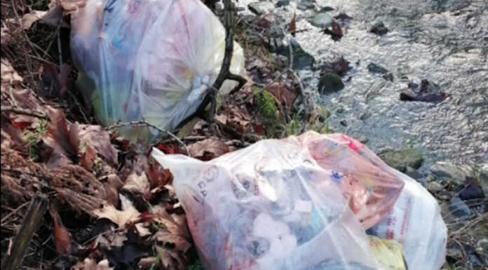 Olgiate: abbandona rifiuti sulle rive del Molgora. Beccato e multato
