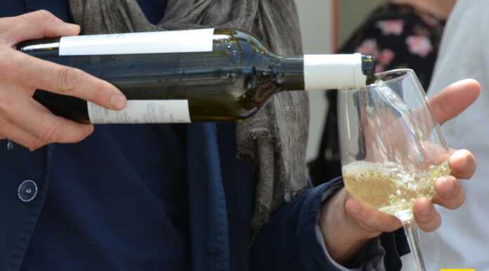 Vino: “Con etichette allarmistiche, danno potenziale anche per le produzioni lariane” buffet rinfresco vino barman cocktail
