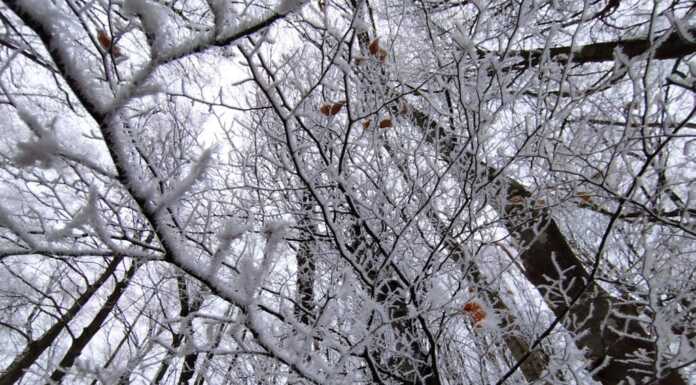 Paesaggi di ghiaccio ai Piani d’Erna, le foto raccontano l’incanto
