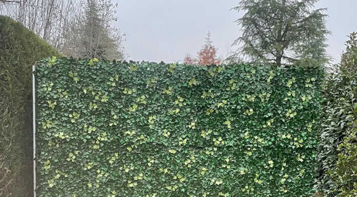 Merate e il parco donato da Berlusconi. “Perché in parte è ancora chiuso?”