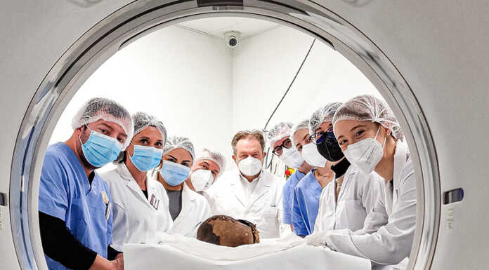 Si studiano le mummie del museo di Erba, sottoposte a TAC