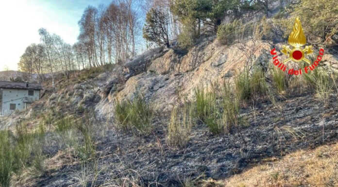 Vendrogno. A fuoco sterpaglie all’Alpe Tedoldo, intervento dei Vigili del Fuoco Alpe Tedoldo incendio