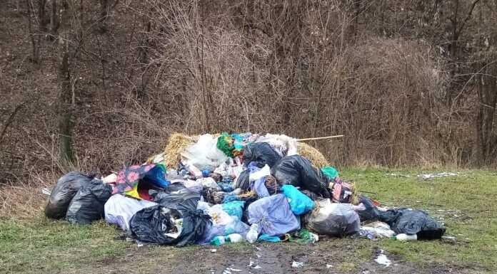 Maxi abbandono di rifiuti a Ballabio: interviene Silea rifiuti ballabio