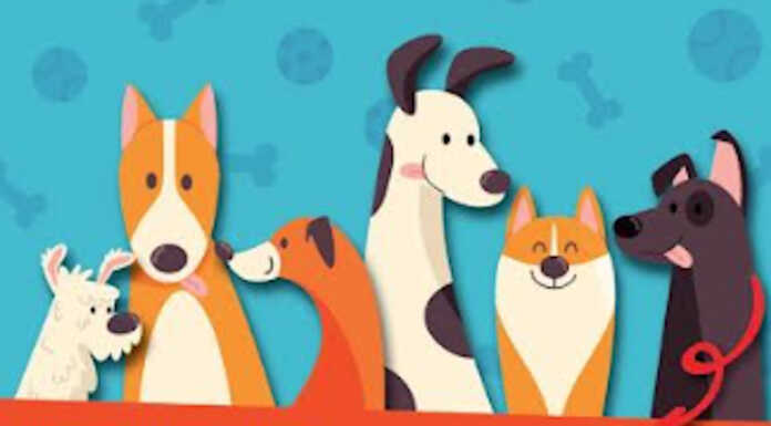 Merate: realizzate due nuove aree per i cani Area cani