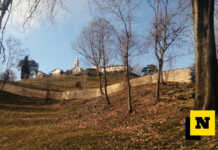 Parco del Curone: il 16 il trekking geologico tra le cave di Olgiate e la serie sedimentaria del San Genesio San Genesio