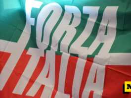 Elezioni provinciali. Forza Italia: “Hofmann, vittoria della coerenza” forza italia bandiera