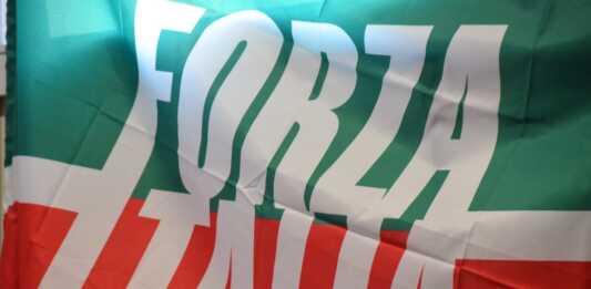 Elezioni provinciali. Forza Italia: “Hofmann, vittoria della coerenza” forza italia bandiera