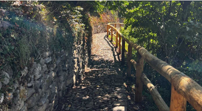 Montevecchia: rimesso a nuovo il sentiero Oliva Montevecchia Sentiero Oliva