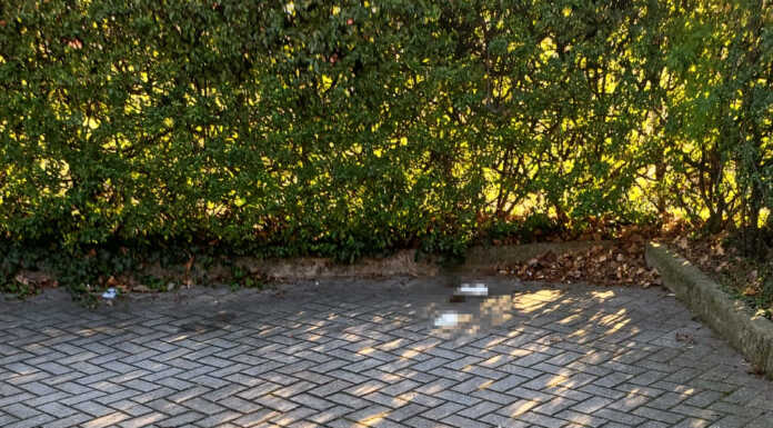 Fa i suoi bisogni in un parcheggio, signora multata a Pescate Pescate fa i bisogni nel parcheggio