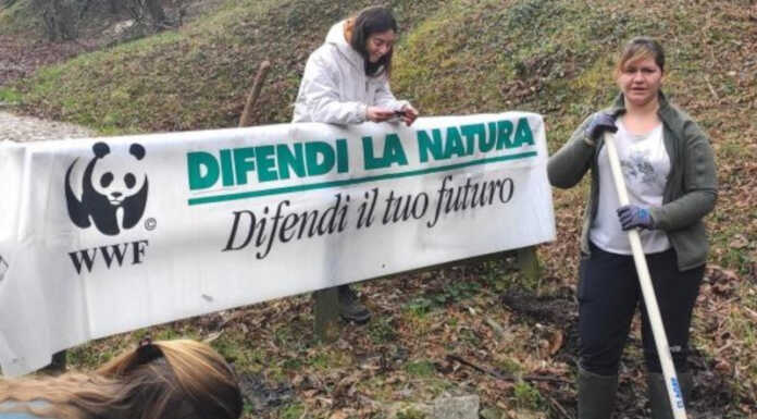 WWF Lecco in azione sul Barro per salvare un delicato ecosistema acquatico monte barro intervento wwf lecco