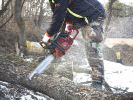 Dervio, una serata dedicata alle buone pratiche del taglio del bosco
