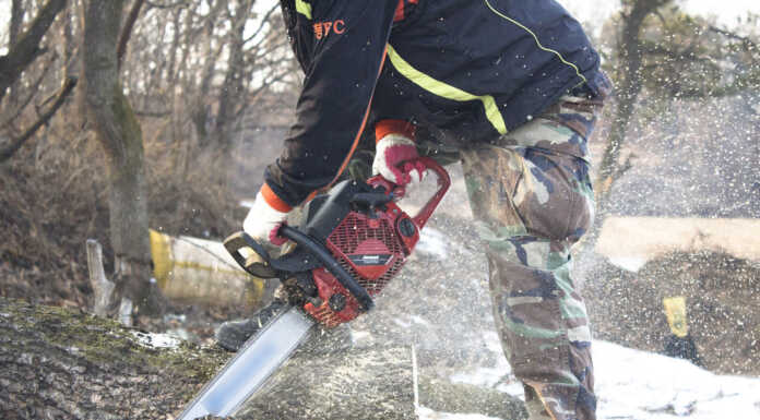 Dervio, una serata dedicata alle buone pratiche del taglio del bosco