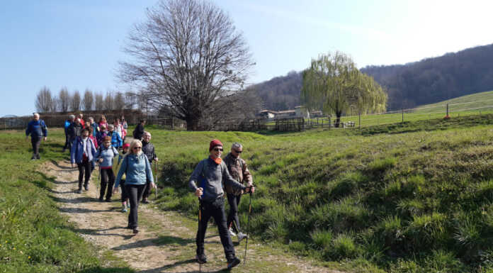 Antico percorso di fede dell’Alta Brianza: oltre 40 proposte per valorizzarlo