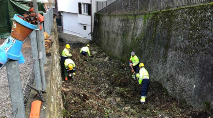 Protezione Civile al lavoro a Erve per ripulire una valletta dalla vegetazione Protezione Civile Erve
