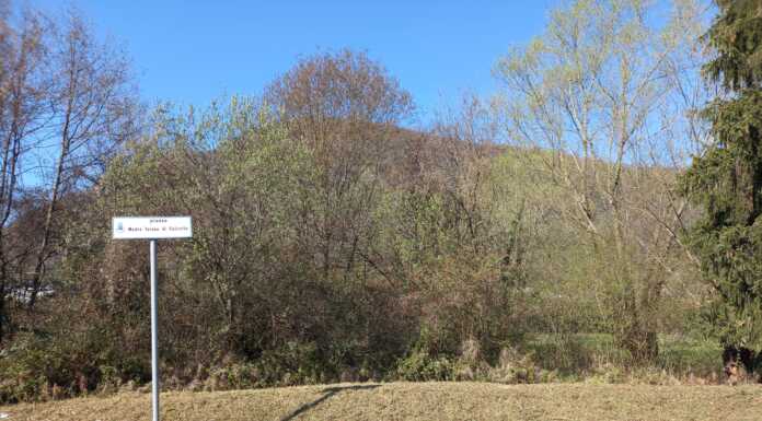 Airuno, volontari e Alpini ripuliscono l’area verde del Ctl madre Teresa di Calcutta