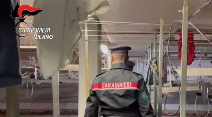 Un bunker, marijuana e pistole: tre arresti a Paderno Dugnano